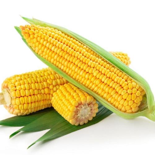 ����������8�����