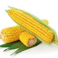 ����������8�����