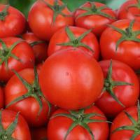 ũ��������������Ȼ��5��