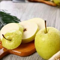 �������ʴ����֭ѩ����10�����ѩ��