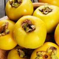 ���ʴ�����10�ﵱ������ˮ��